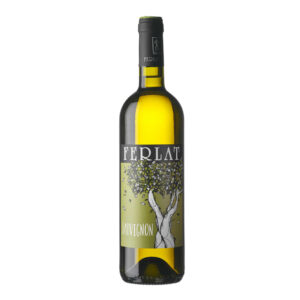 Ferlat Sauvignon Blanc vino bianco friulano da Sauvignon Blanc