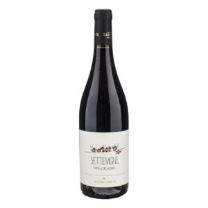 Tintilia del Molise Settevigne DOC 2018 Claudio Cipressi vino rosso molisano